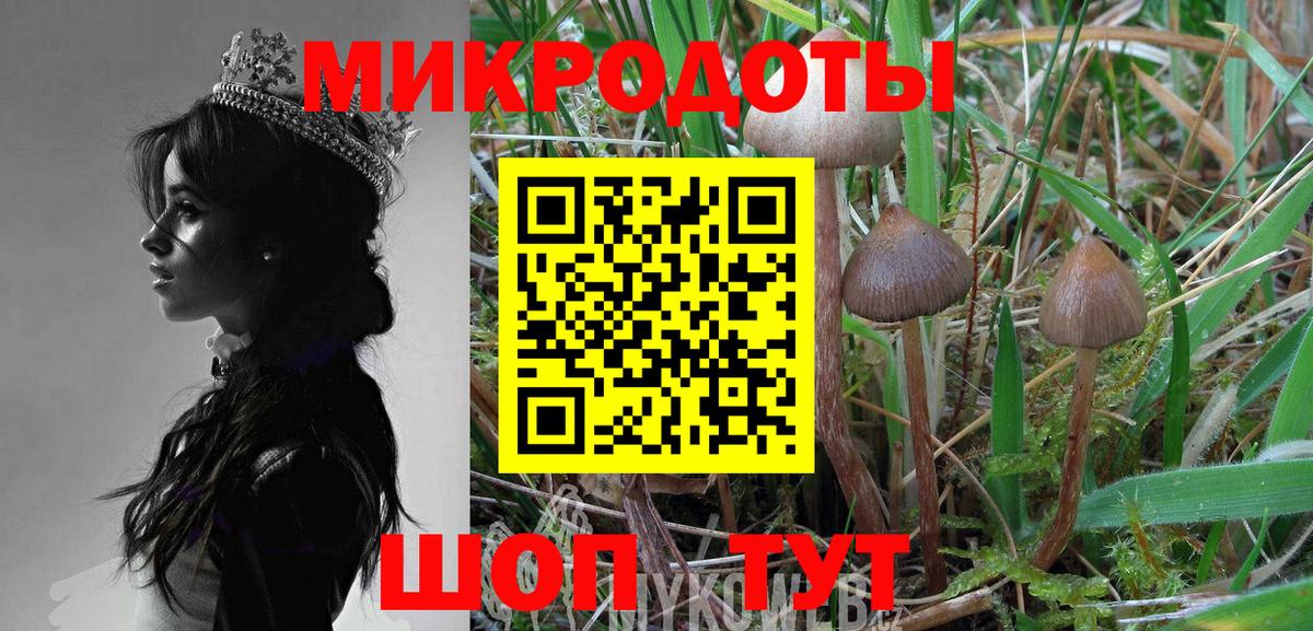Галлюциногенные грибы Psilocybine cubensis Пенза